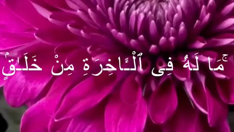 Surah Al-Baqarah Ruku 12 | Islam Is Complete – Message of Submission