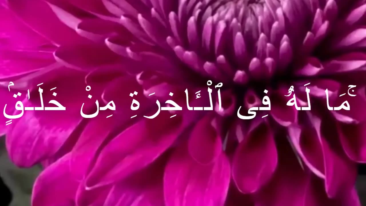 Surah Al-Baqarah Ruku 12 | Islam Is Complete – Message of Submission