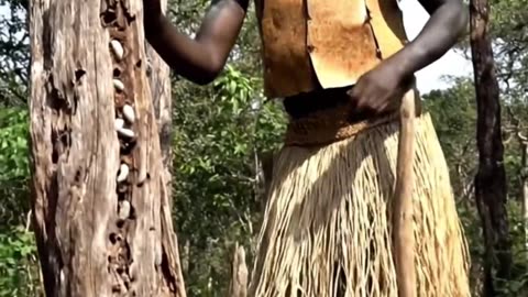 Primitive Technology