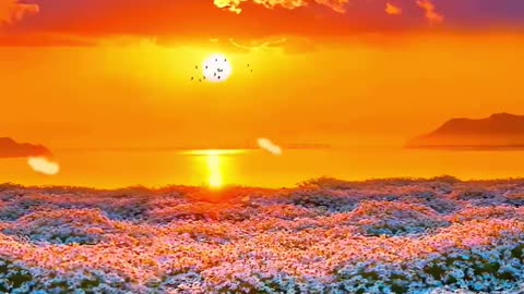 A Tear That Saves from Hellfire | Islamic Short Story