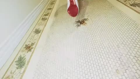 She’s not just a girl, she’s a whole vibe 💃✨ | Nora Fatehi Magic | Ai Music Tune | Hot Dance #shorts