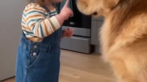 Cute Baby Playing With Animals | Adorable Baby & Pets Moments | Funny Animal Reactions”