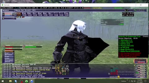 Playing Final Fantasy XI Online