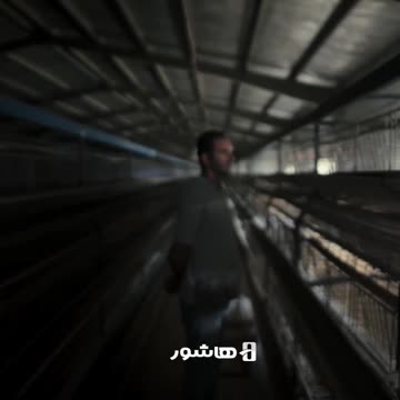 خانواده خلج | رویای کارخانه در کویر و نبرد با نظام بانکی