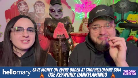 This Strain Is Straight Purple!! Dankin With The Flamingos Review!!