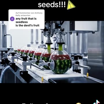 SEEDLESS FRUIT IS THE DEVILS FRUIT