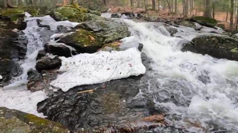 Cascades