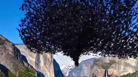 Miracle of Nature