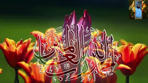 تلاوة خاشعة مبكية