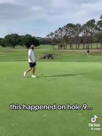 YOUR OUT THERE ON THE GOLF COURSE IN FLORIDA AND THIS COMES UP
