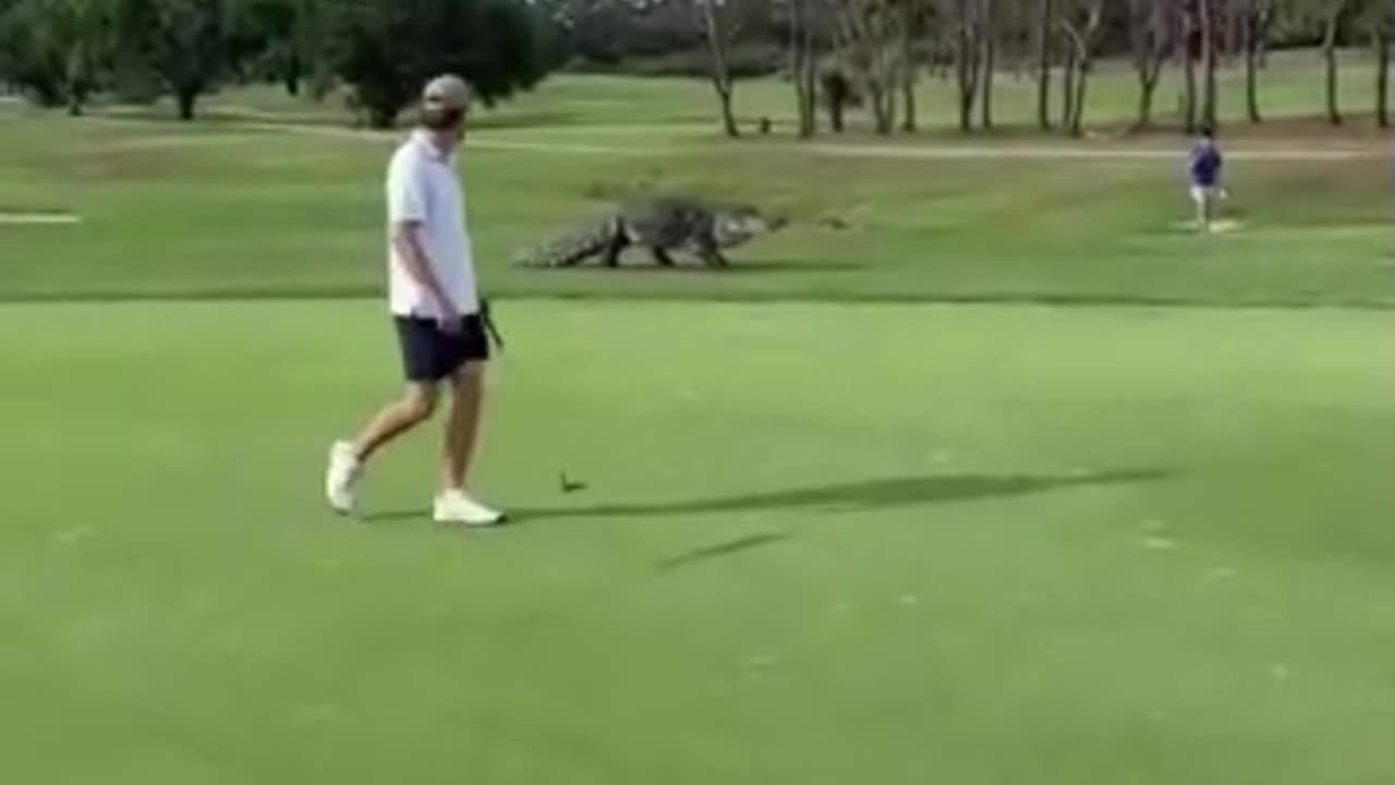 YOUR OUT THERE ON THE GOLF COURSE IN FLORIDA AND THIS COMES UP