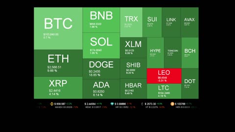 Live Coin Price Watch!