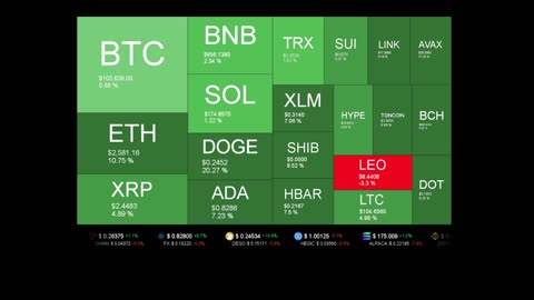 Live Coin Price Watch!