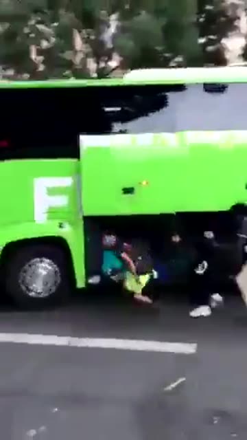 Diversity stealing in Europe