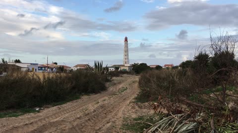 Boat Tour (Ria Formosa Natural Park, Algarve, Portugal) 11