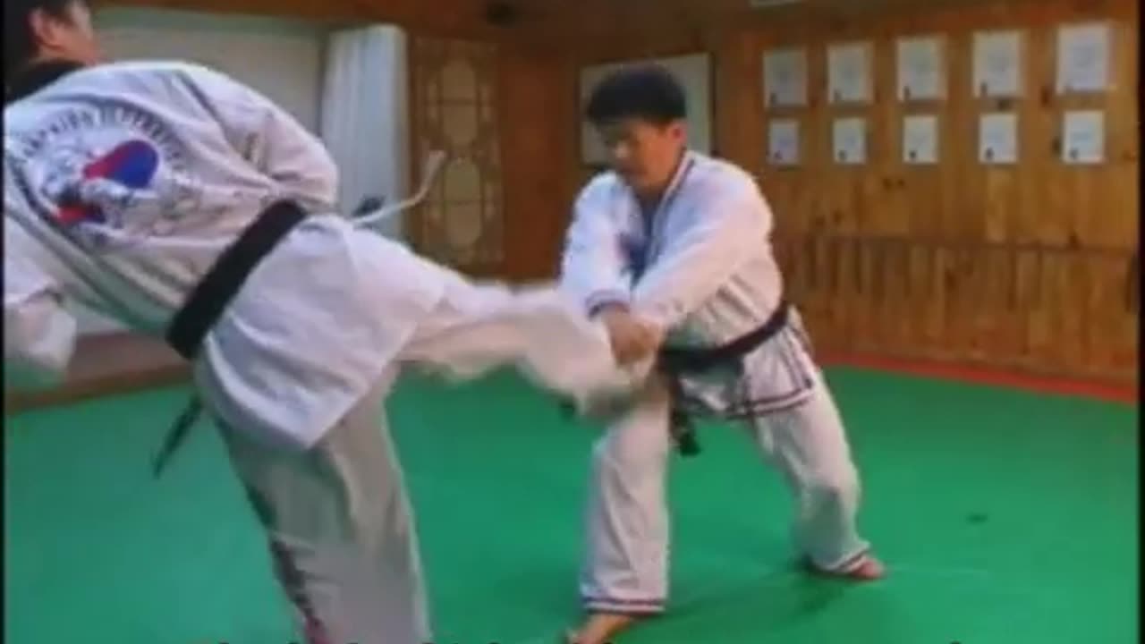 Hapkido
