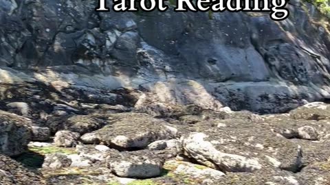 Navigate Emotional Balance | Path and Tarot Reading