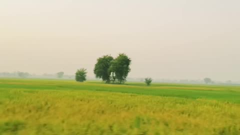Village Life Larkana Sindh ❤ #maxrecords #larkana #sindh #pakistan