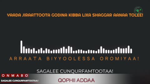 Qophii Addaa ONM-ABO Bitootessa 18-2025 itti dhiyaadhaa!