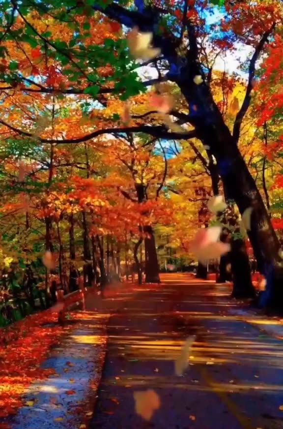 Beautiful landscapes Landscape video of nature