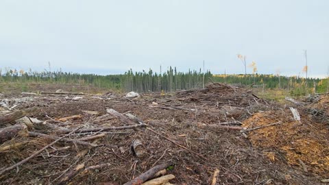 Canadian Hunting Trip – Loading Up, Road to Camp, and Day One