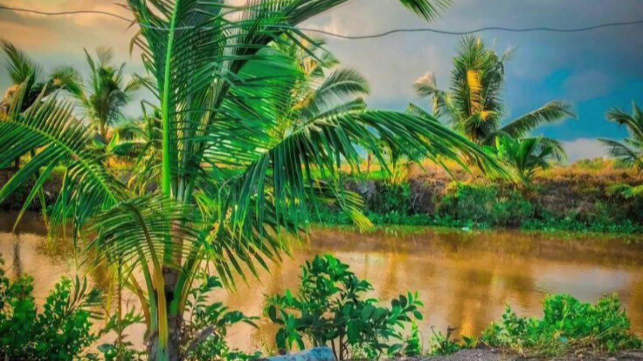 Where My Light Begins