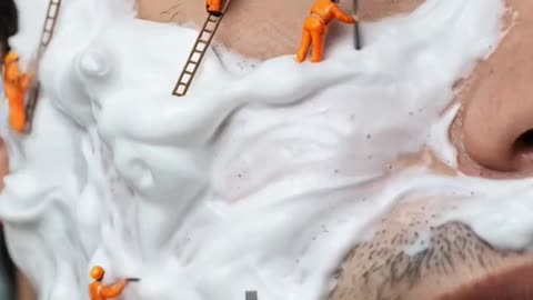 viral cat video 134