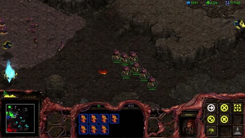 Starcraft UEDIAP