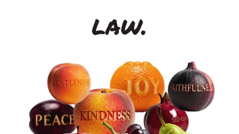 Scripture of the day