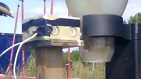 🤯🧠 Wild Crows Trained to Clean Litter in Sweden! | FeedMyCuriosity