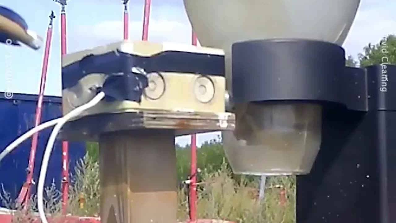 🤯🧠 Wild Crows Trained to Clean Litter in Sweden! | FeedMyCuriosity