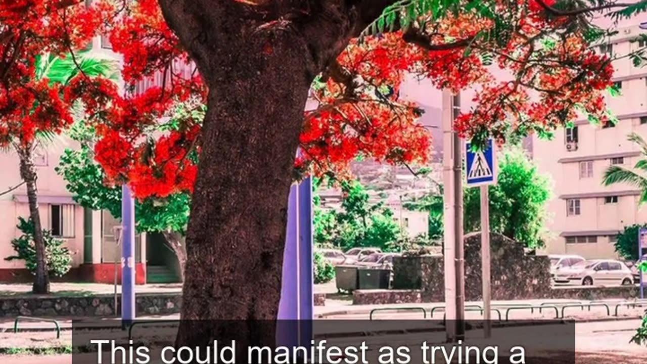 Daily Horoscope | Taurus 🌟