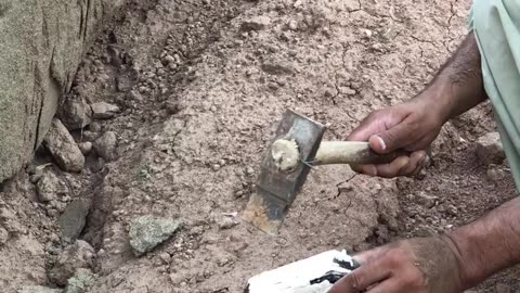 Hidden Treasure Box Found Deep in the Brazilian Jungle