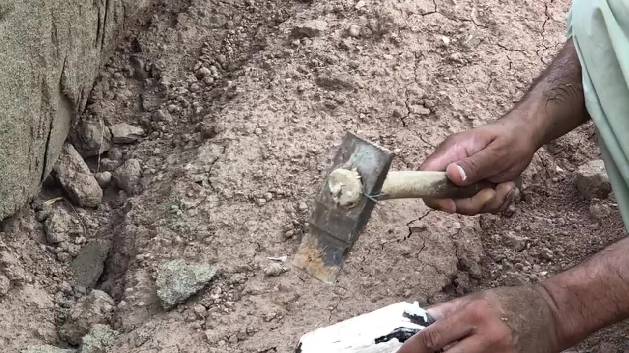 Hidden Treasure Box Found Deep in the Brazilian Jungle
