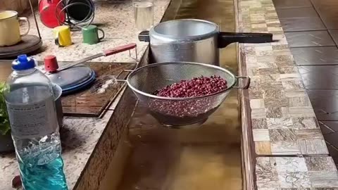 They incorporated an actual stream into their kitchen, how cool is this?
