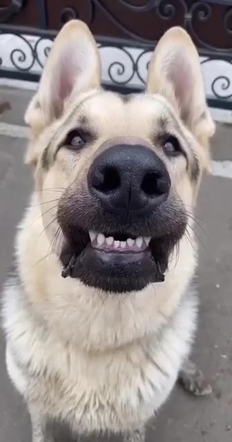 Me after getting my teeth cleaned at the dentist