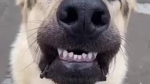 Me after getting my teeth cleaned at the dentist