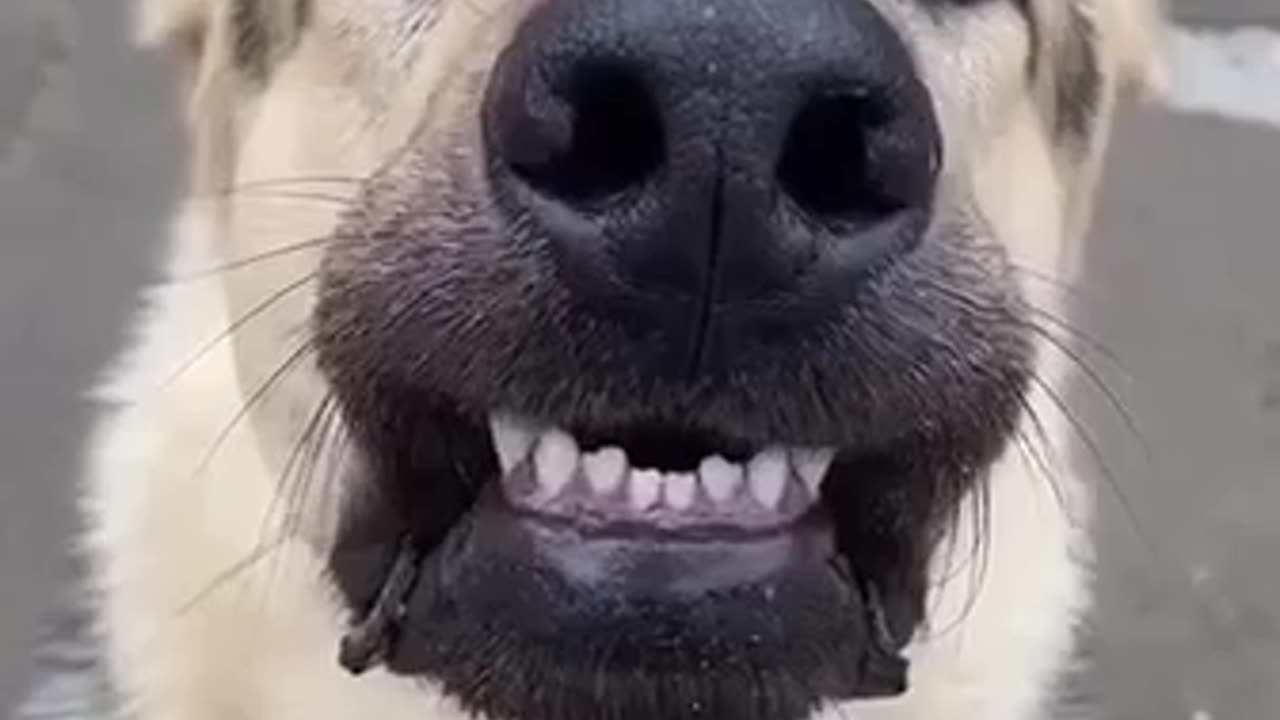 Me after getting my teeth cleaned at the dentist