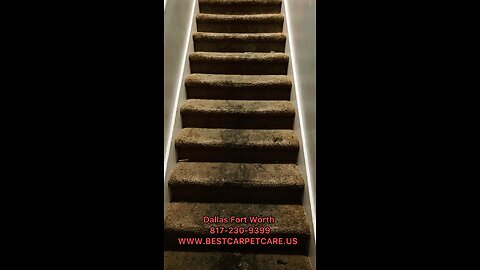 Carpet cleaning services