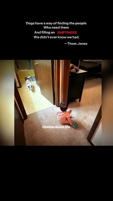 Happiness is a warm puppy