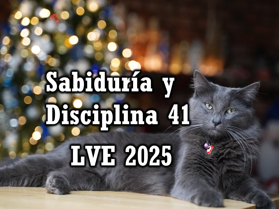 Sabiduría y Disciplina 41