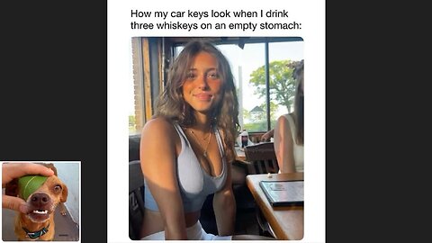 Memes That Will 99.0260% Make You Laugh. (e484)