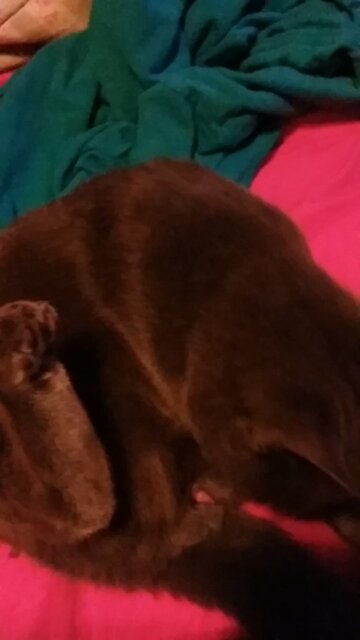 My first video of windigo