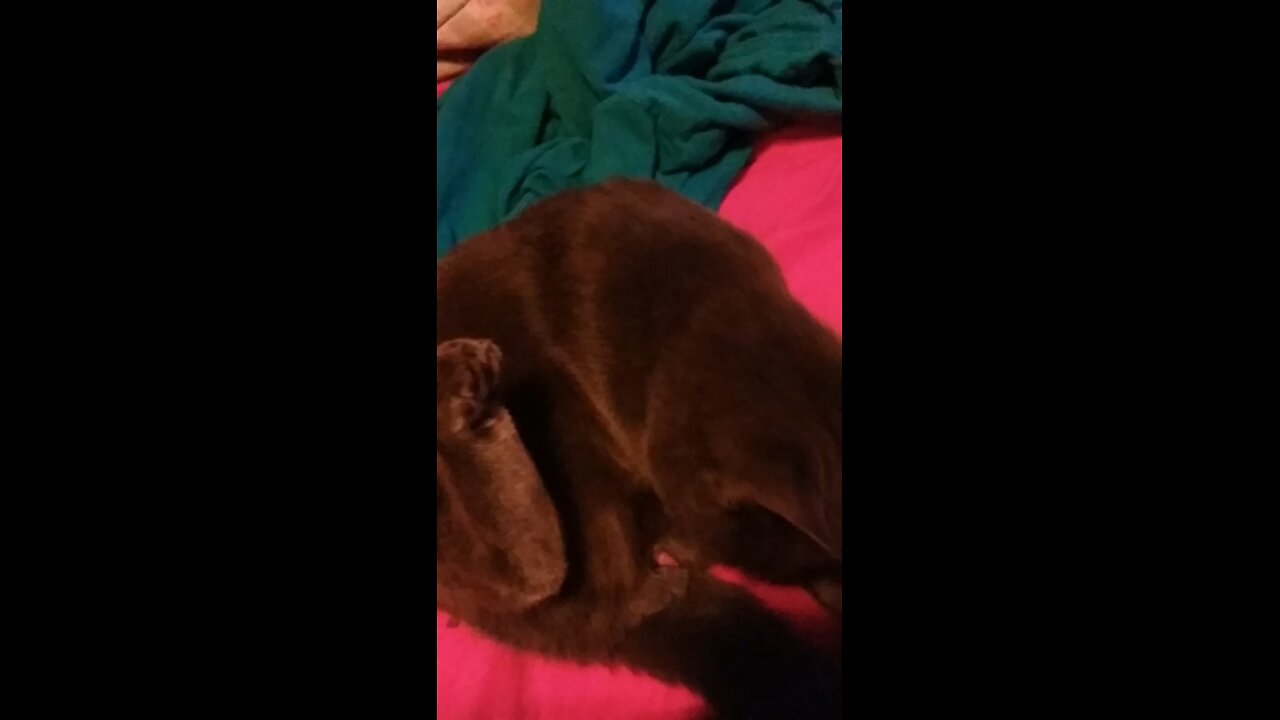 My first video of windigo