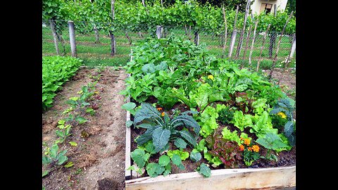 GROW YOUR OWN FOOD