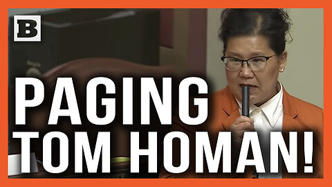 Minnesota Democrat Admits on Floor of State House She Is an Illegal Immigrant
