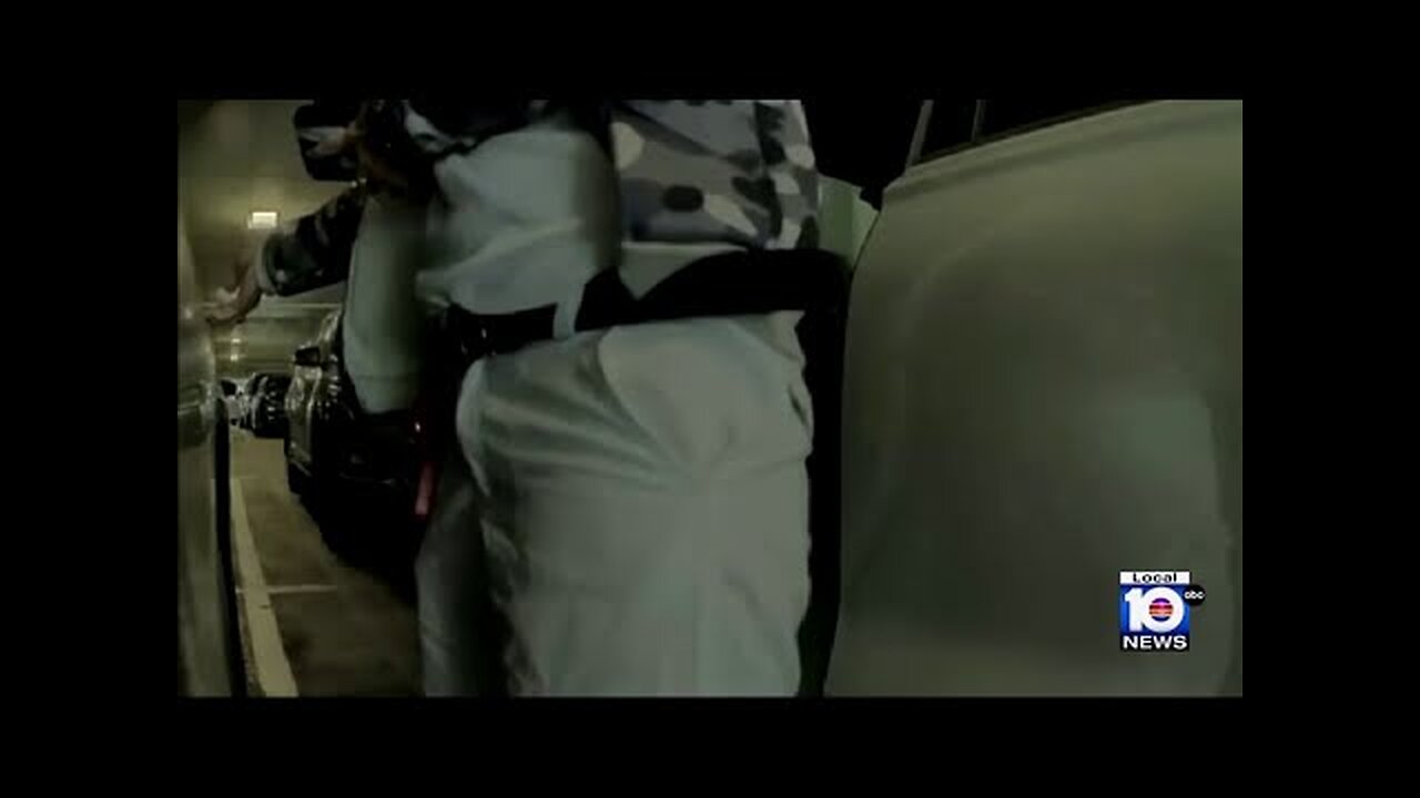 Tesla owner speaks about vehicle being vandalized outside Aventura Mall