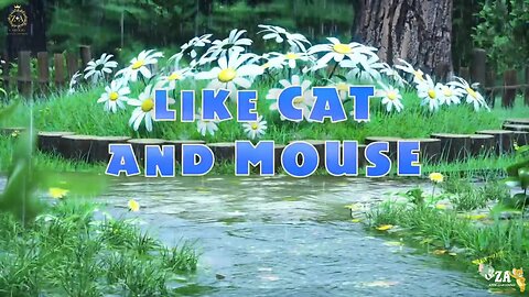Masha and Bear Cartoons