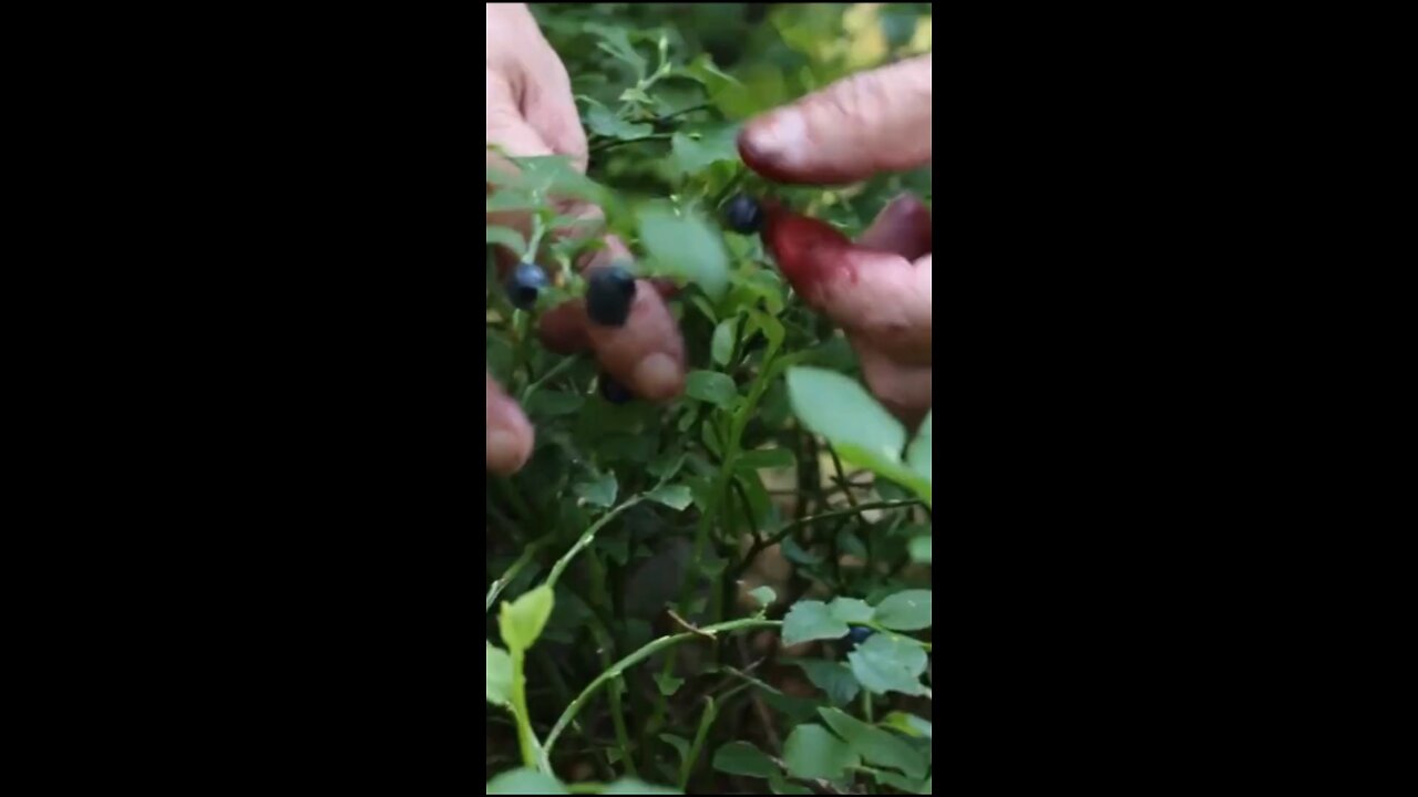 Daily Verse April 23rd 2025