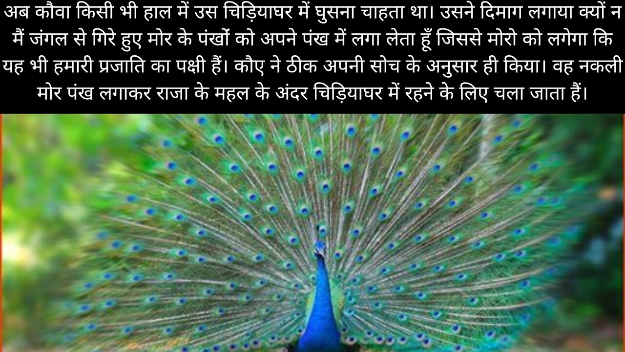 hindi stories mor ki nakal.